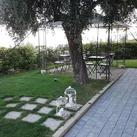 Aurivu Villa Vallebona Екстериор снимка