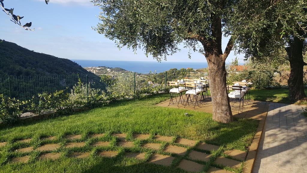 Aurivu Villa Vallebona Екстериор снимка