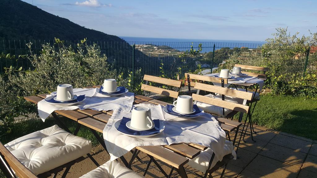 Aurivu Villa Vallebona Екстериор снимка