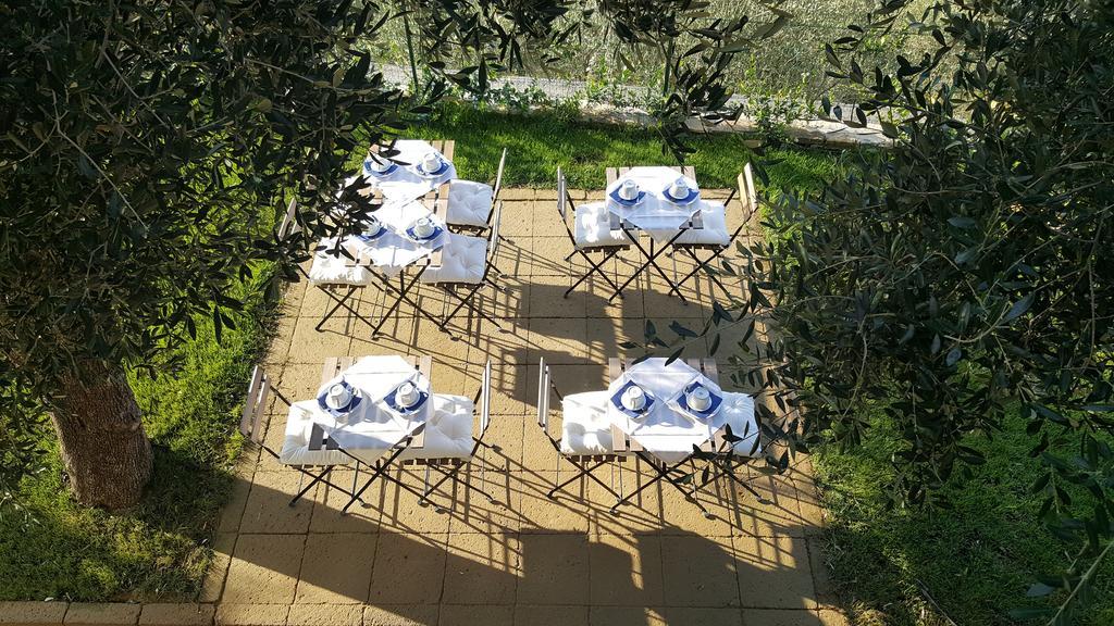 Aurivu Villa Vallebona Екстериор снимка