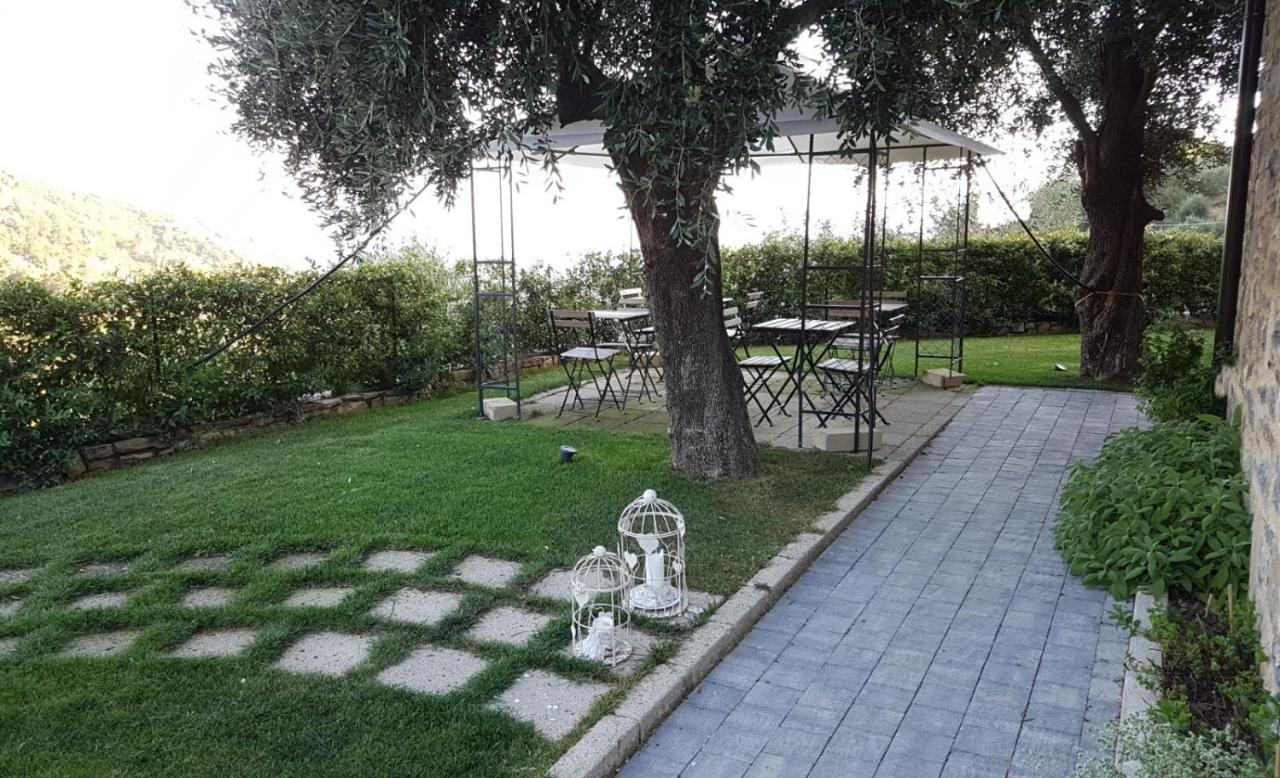 Aurivu Villa Vallebona Екстериор снимка